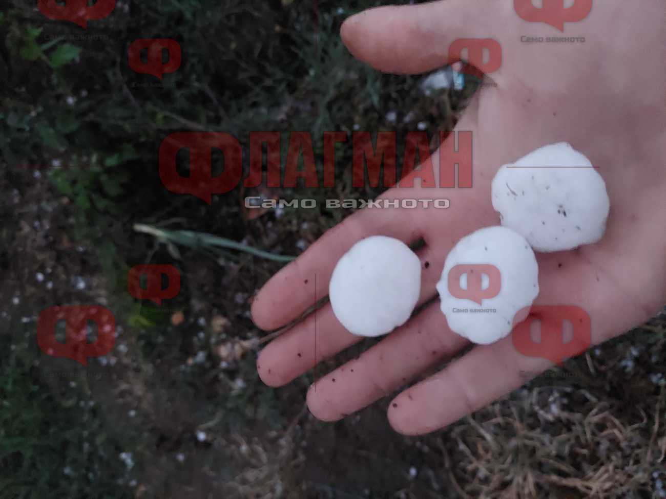 Вижте градушката като орех, която удари сунгурларското село Везенково